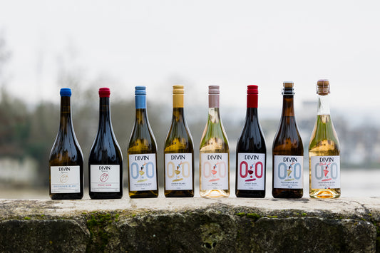 Meet the Creators of DIVIN NOLOW (France)