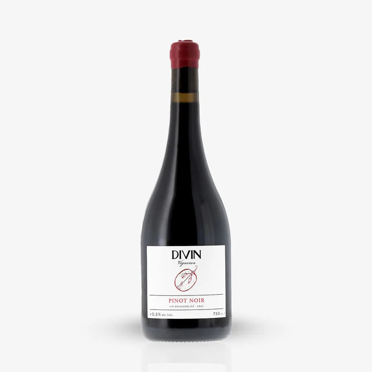 Meet the Creators of DIVIN NOLOW (France)