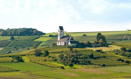 Meet the Makers of RIMUSS & STRADA (Switzerland)