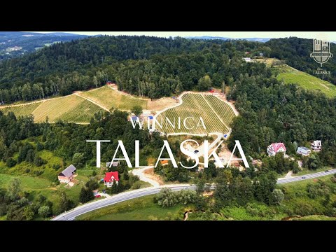 Meet the Creator of TALASKA VINEYARD (Poland)