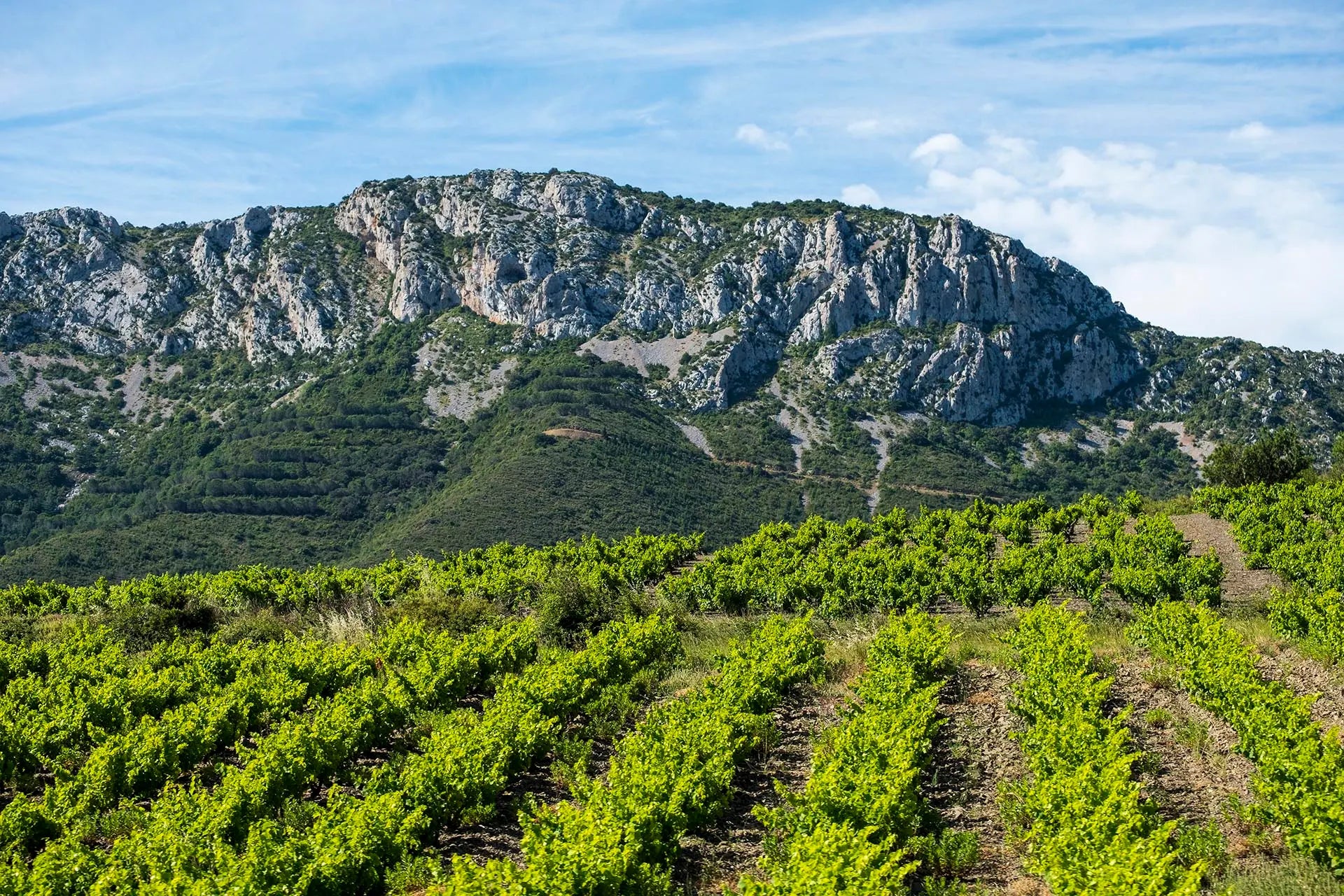 Languedoc-Roussillon, France