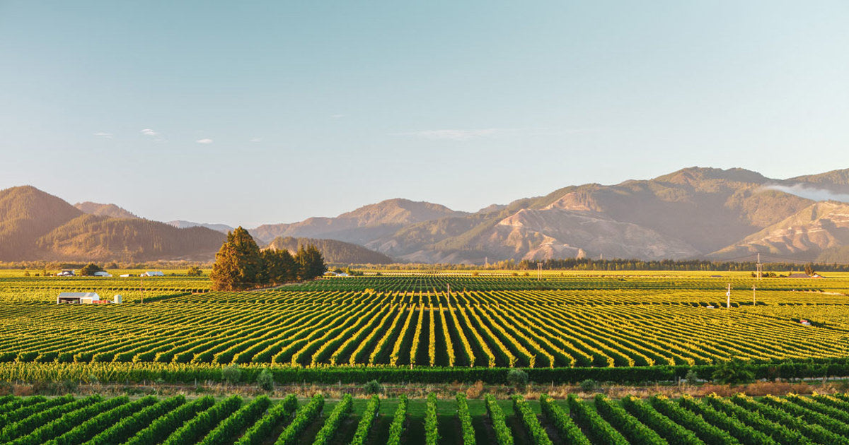 Marlborough, New Zealand