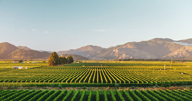 Marlborough, New Zealand