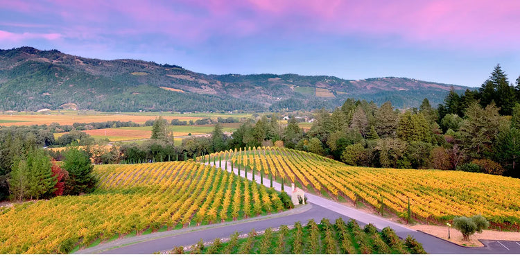 Napa Valley, California, USA