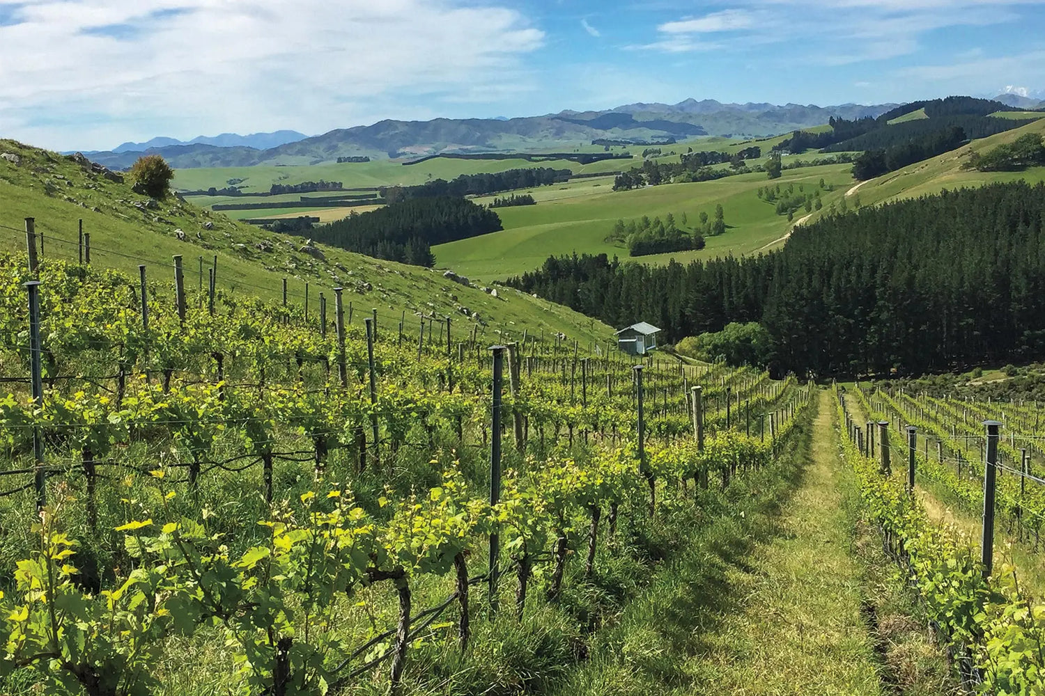 North Canterbury, New Zealand