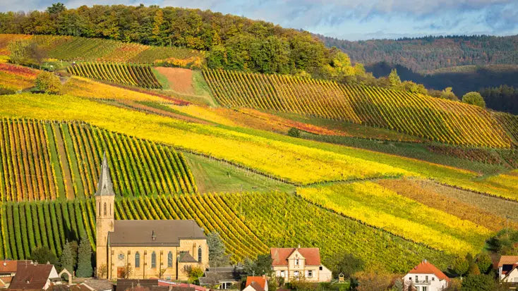 Pfalz, Germany