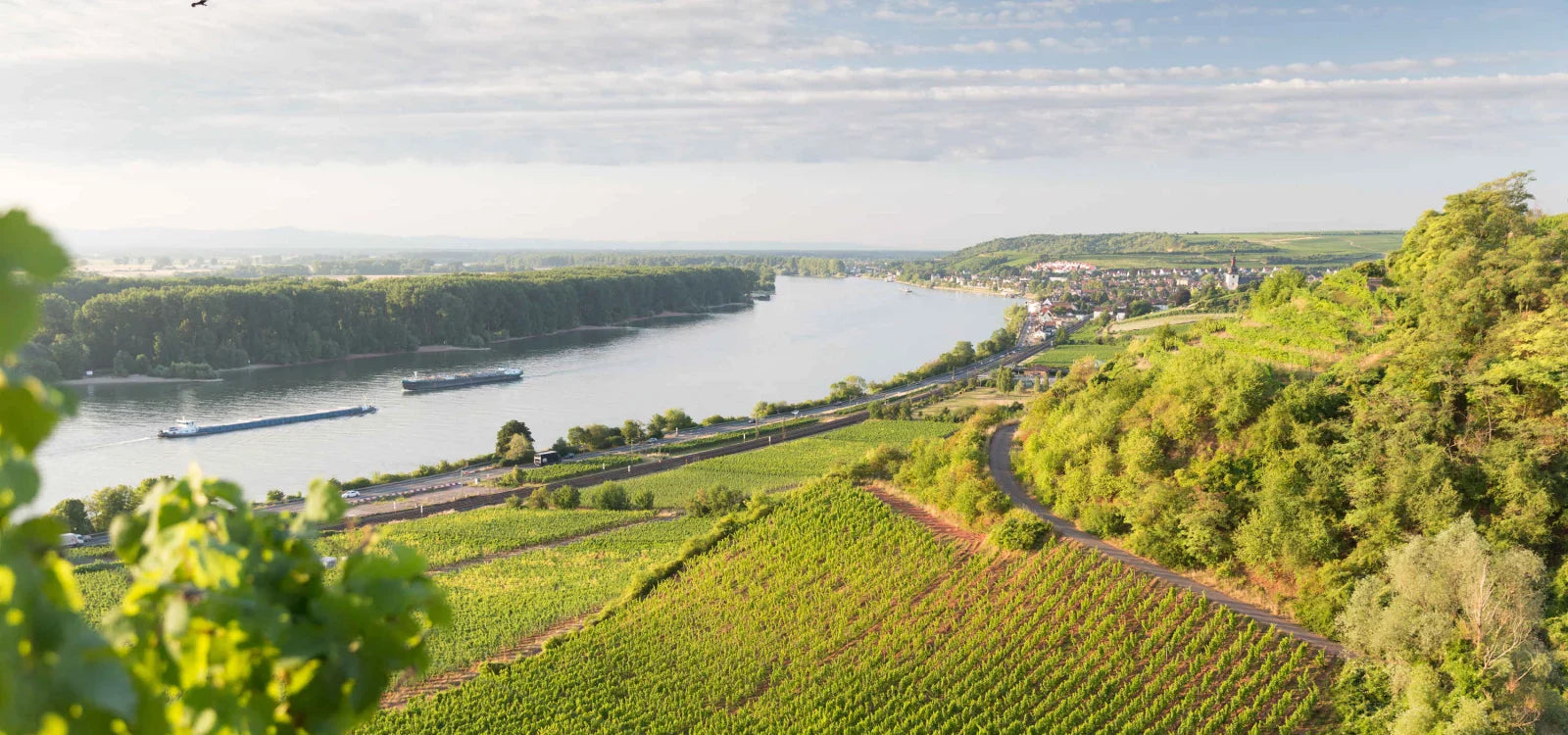 Rheinhessen, Germany