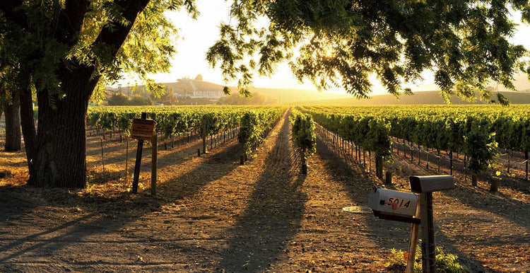 Sonoma County, California, USA