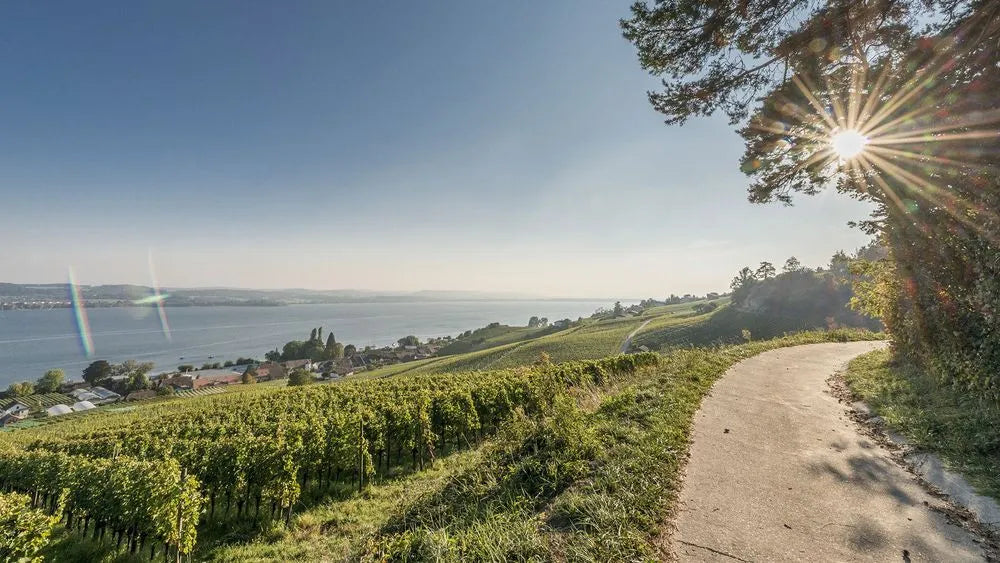 Three Lakes (Neuchatel area), Switzerland