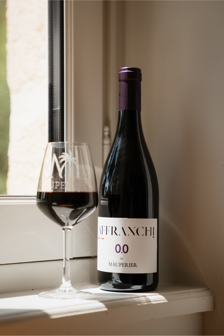 Rencontre avec les créateurs d'AFFRANCHI 0.0 (France)