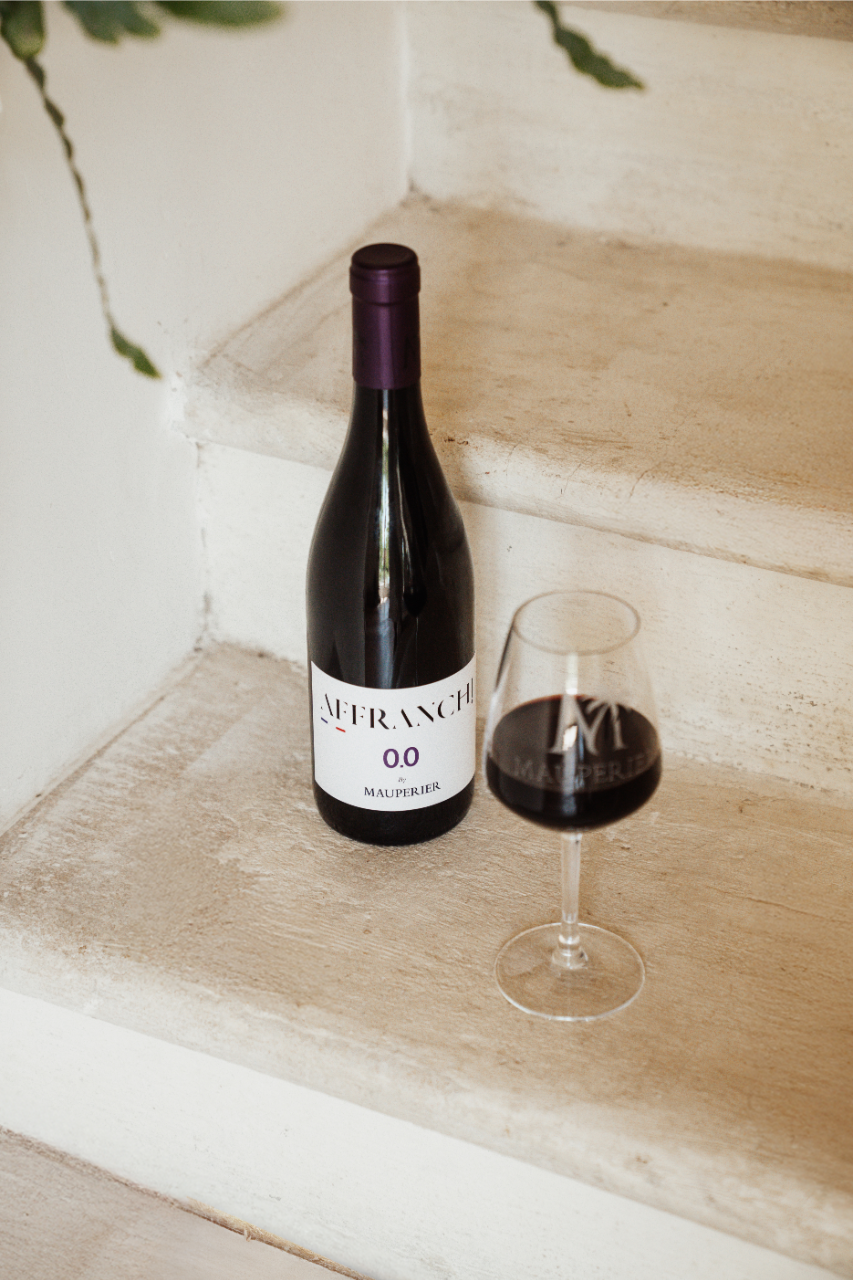 Rencontre avec les créateurs d'AFFRANCHI 0.0 (France)