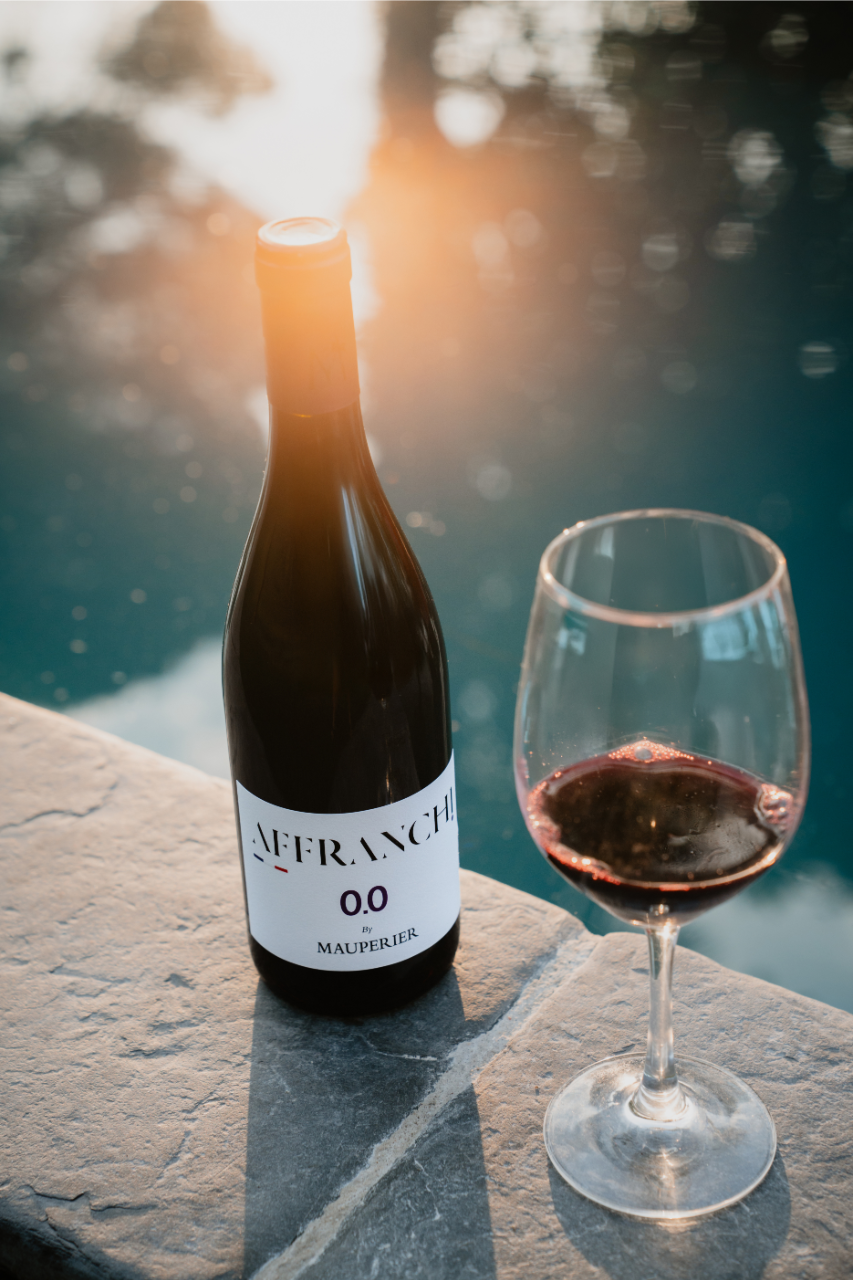 Rencontre avec les créateurs d'AFFRANCHI 0.0 (France)