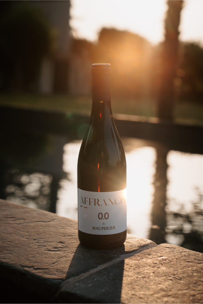 Rencontre avec les créateurs d'AFFRANCHI 0.0 (France)