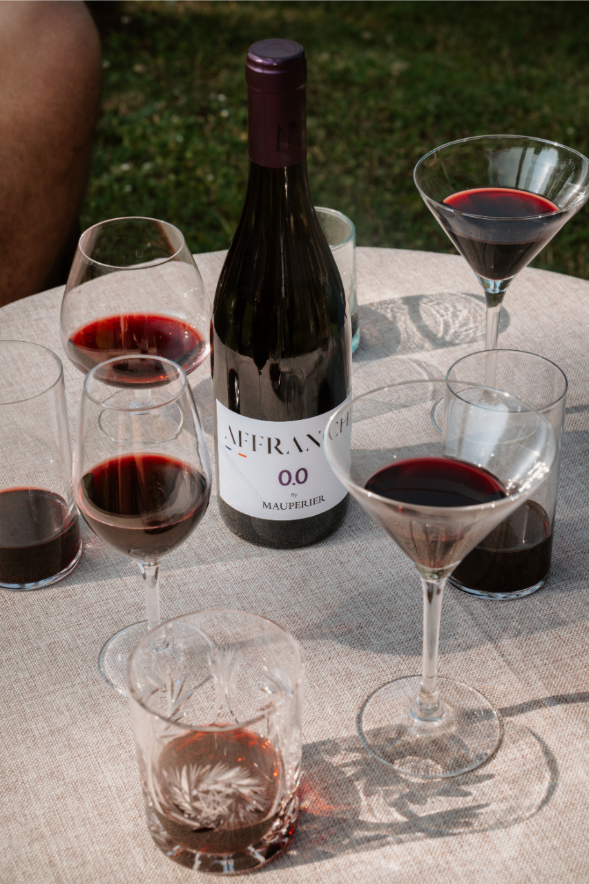 Rencontre avec les créateurs d'AFFRANCHI 0.0 (France)