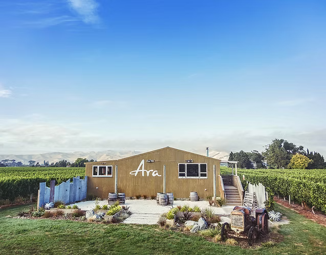 Meet the Creator of ARA ZERO (New Zealand)