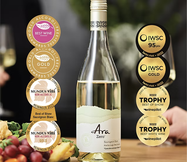 Meet the Creator of ARA ZERO (New Zealand)