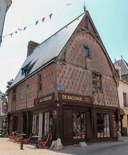 Non-Alcoholic Wine & Beer Discovery Workshop at Aux Trésors de Bacchus (Saint-Aignan, France)