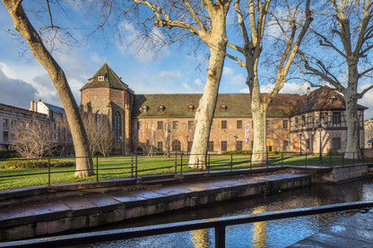 Private Guided Visit At Unterlinden Museum Followed By Non-Alcoholic Wine Tastings (Colmar, France)