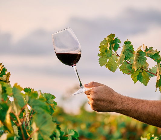 Non-Alcoholic Discovery Workshop at Belles Grappes (Bordeaux, France)