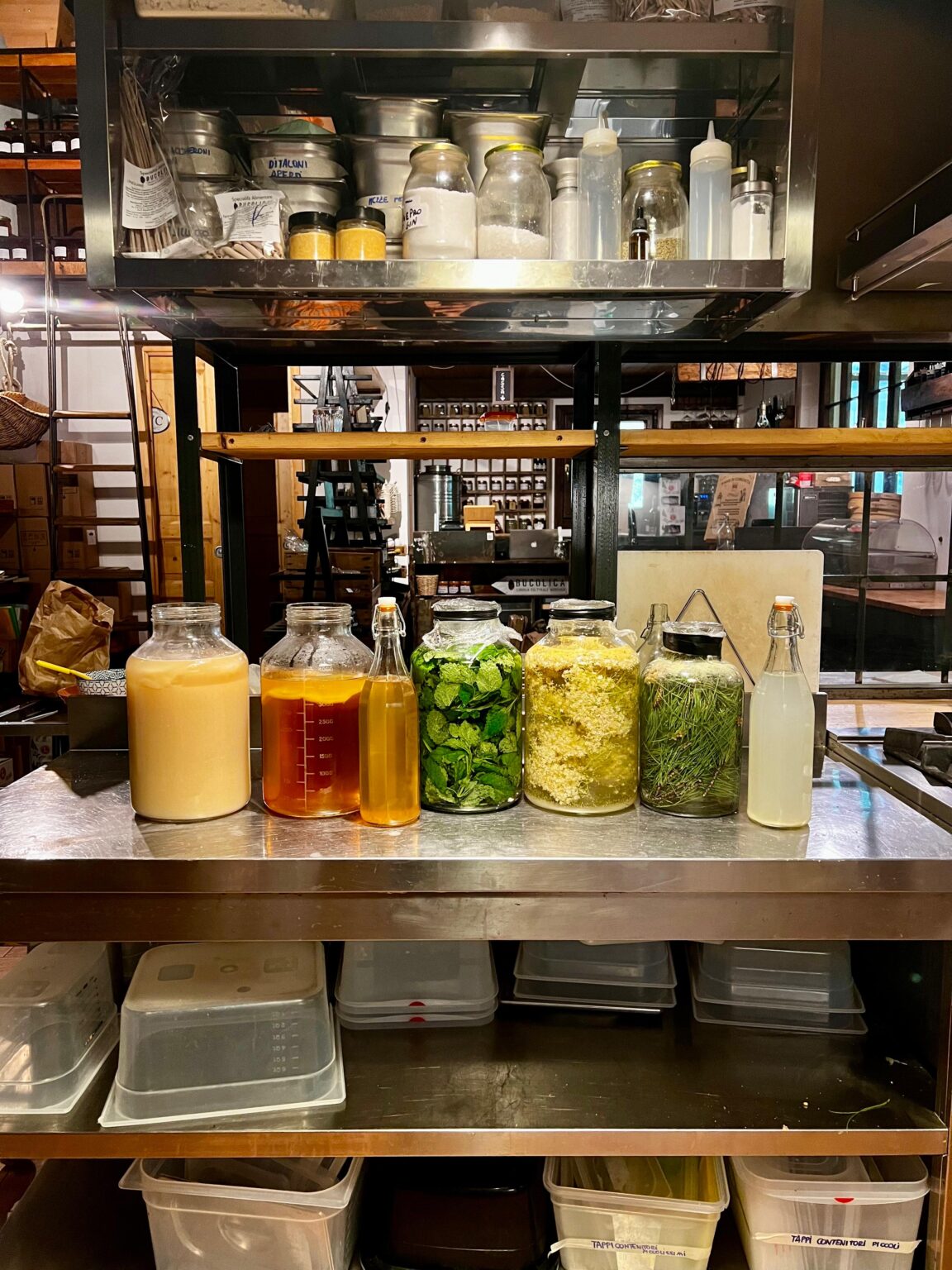 Atelier fermentation et préparation de votre propre Kombucha à la ferme Bucolica (Florence, Italie)