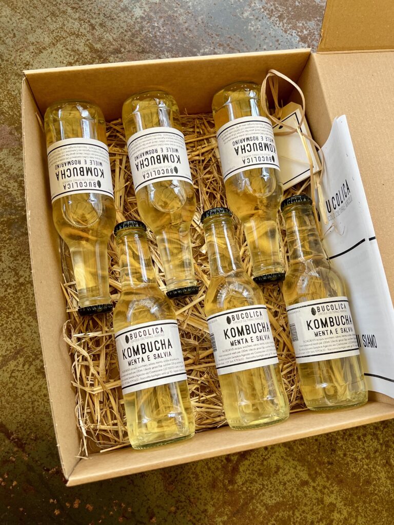 Visit of Bucolica Farm & Tasting of 3 Seasonal Kombuchas (Florence, Italy)