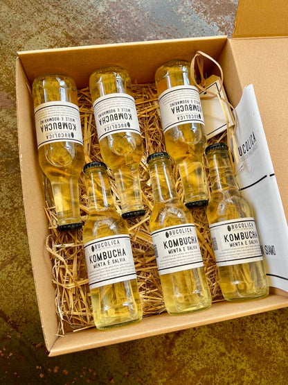 Visit of Bucolica Farm & Tasting of 3 Seasonal Kombuchas (Florence, Italy)