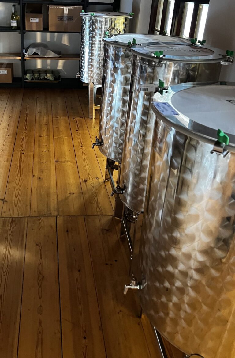 Visit of Bucolica Farm & Tasting of 3 Seasonal Kombuchas (Florence, Italy)