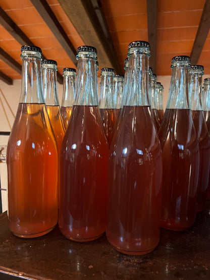 Visit of Bucolica Farm & Tasting of 3 Seasonal Kombuchas (Florence, Italy)