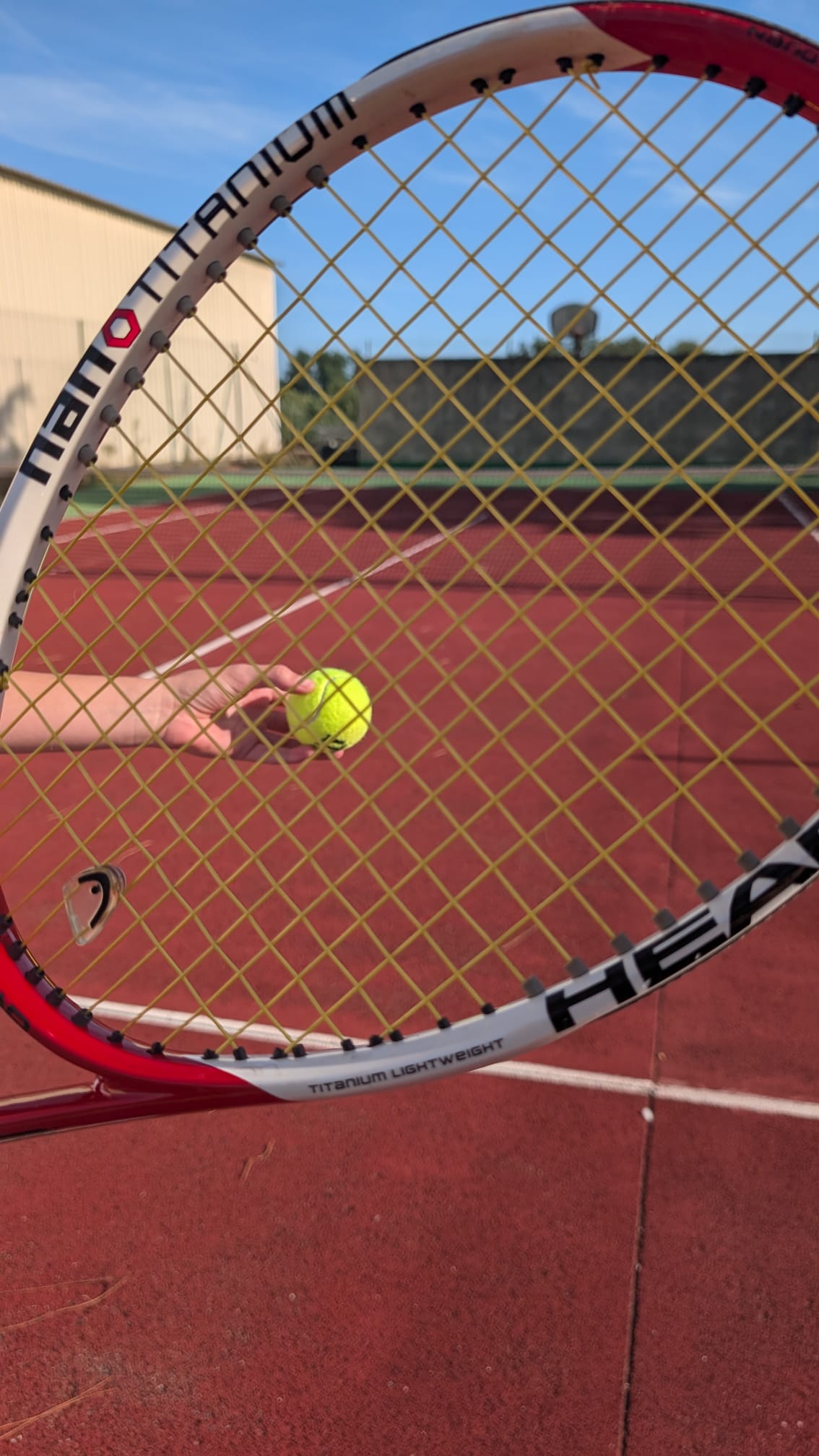 Book a tennis court located at Château des Tourtes and taste amazing dealcoholised French wines called TIP TOP (Val de Livenne, France)