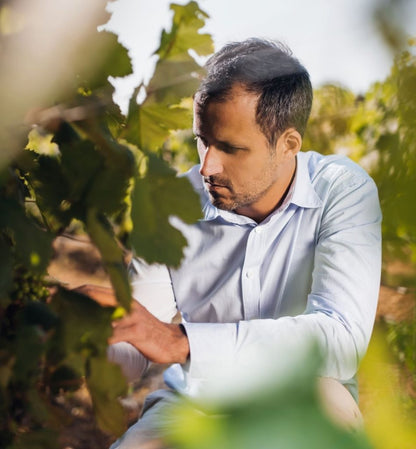 Gift a Non-Alcoholic Wine Tour