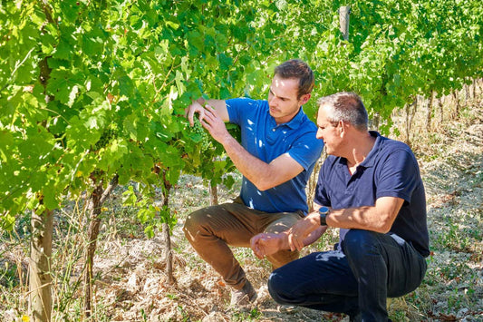 Meet the Creators of NOOH (France)