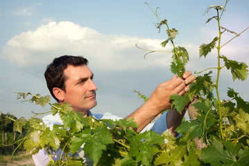 Meet the Creator of MUKHRANI (Georgia)