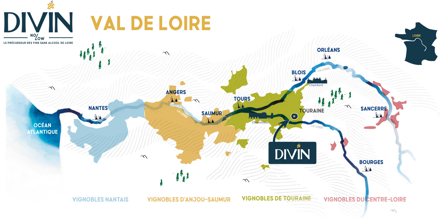 Meet the Creators of DIVIN NOLOW (France)