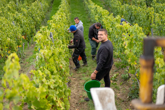 Meet the Creator of NOLIMIT (Germany)