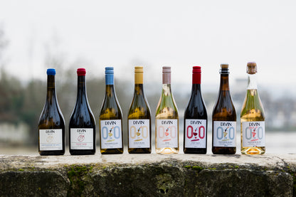 Meet the Makers of DIVIN NOLOW (France)