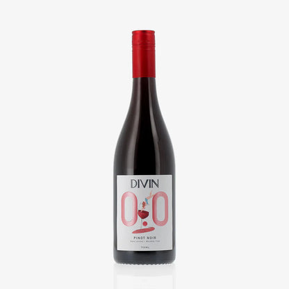 Meet the Makers of DIVIN NOLOW (France)
