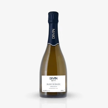 Meet the Makers of DIVIN NOLOW (France)