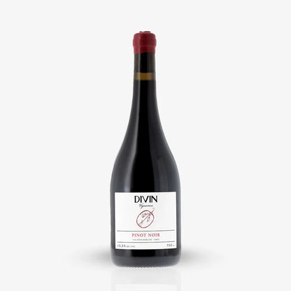 Meet the Makers of DIVIN NOLOW (France)