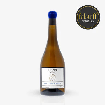 Meet the Makers of DIVIN NOLOW (France)