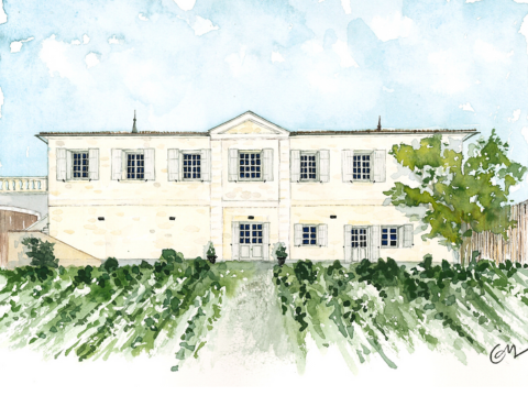 Introduction To Watercolour Painting Paired With Non-Alcoholic Bordeaux Wine Tasting At Maison Charmeilles Le Comptoire (Libourne, France)