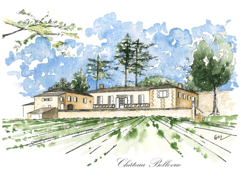 Introduction To Watercolour Painting Paired With Non-Alcoholic Bordeaux Wine Tasting At Maison Charmeilles Le Comptoire (Libourne, France)