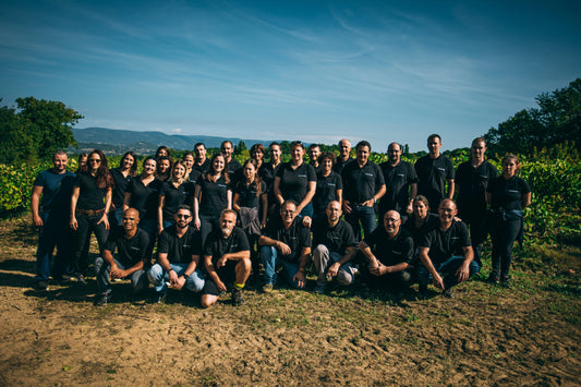 Meet the Creator of MIREZI (France)