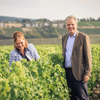 Meet the Makers of DIVIN NOLOW (France)