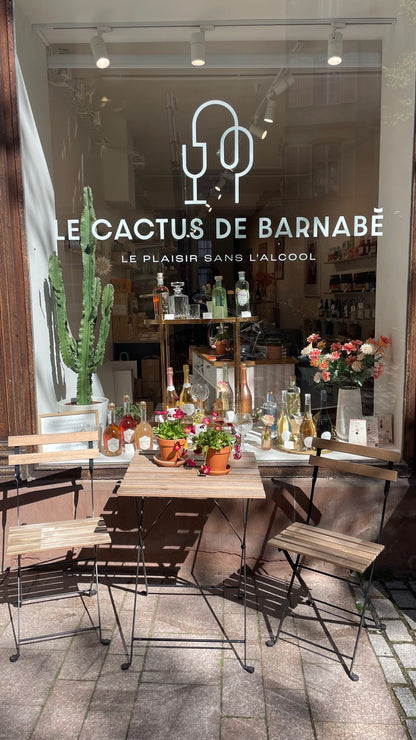 Découvrez des boissons alternatives haut de gamme avec Yasmina Khouaidjia chez Le Cactus de Barnabé (Strasbourg, France)