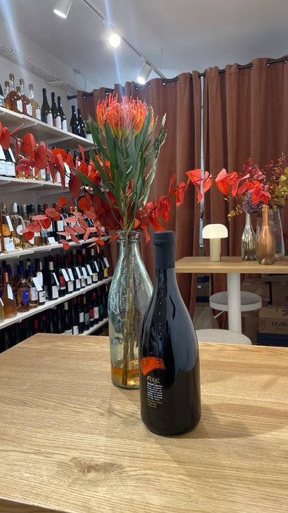 Découvrez des boissons alternatives haut de gamme avec Yasmina Khouaidjia chez Le Cactus de Barnabé (Strasbourg, France)