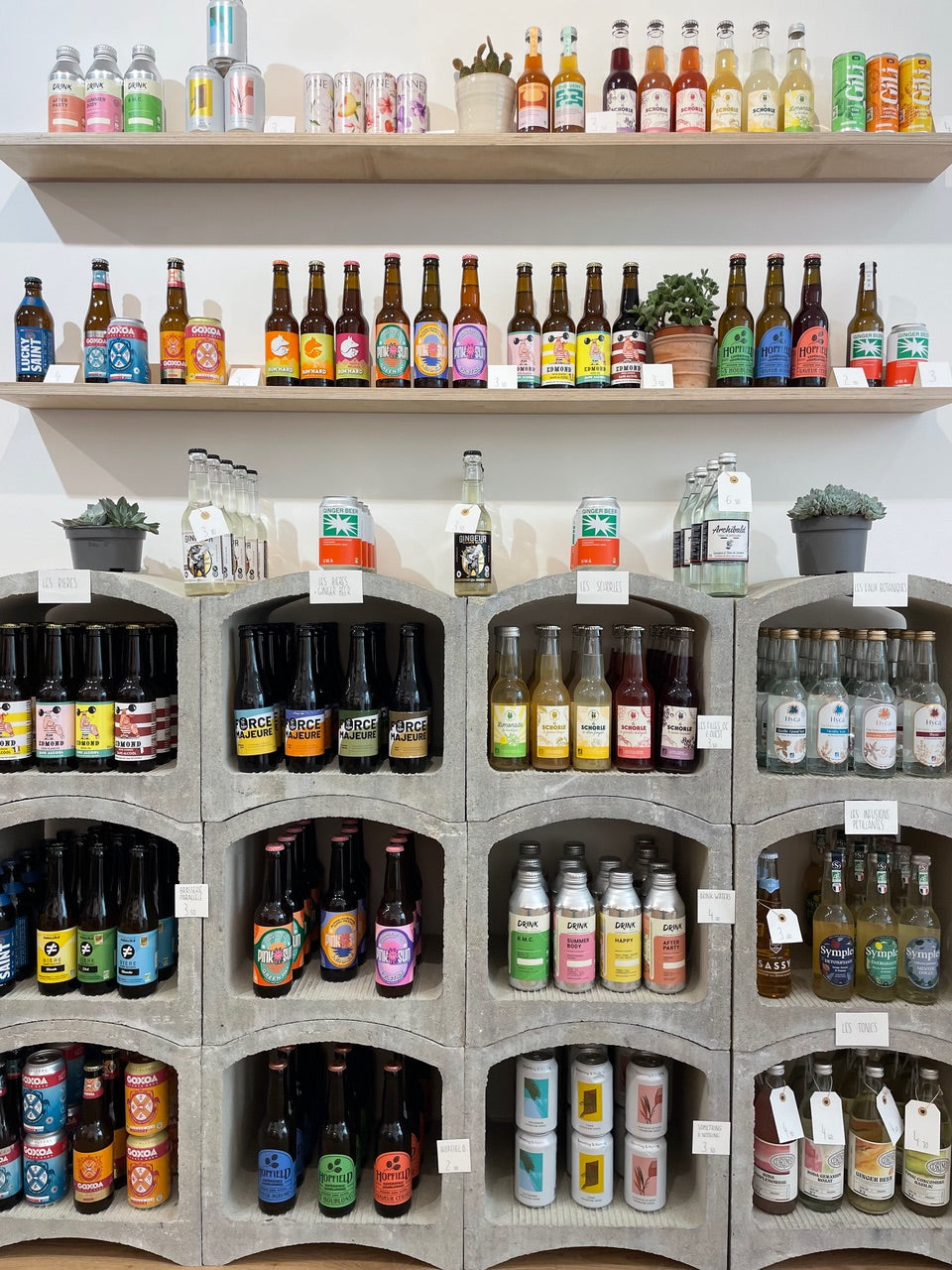 Découvrez les meilleures boissons sans alcool de France et d'Allemagne avec Yasmina Khouaidjia chez Le Cactus de Barnabé (Strasbourg, France)
