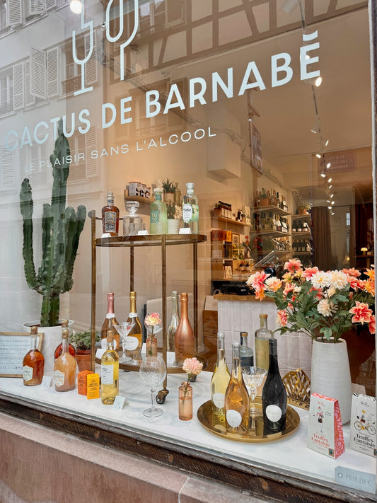 Non-Alcoholic Discovery Workshop at Le Cactus de Barnabé (Strasbourg, France)