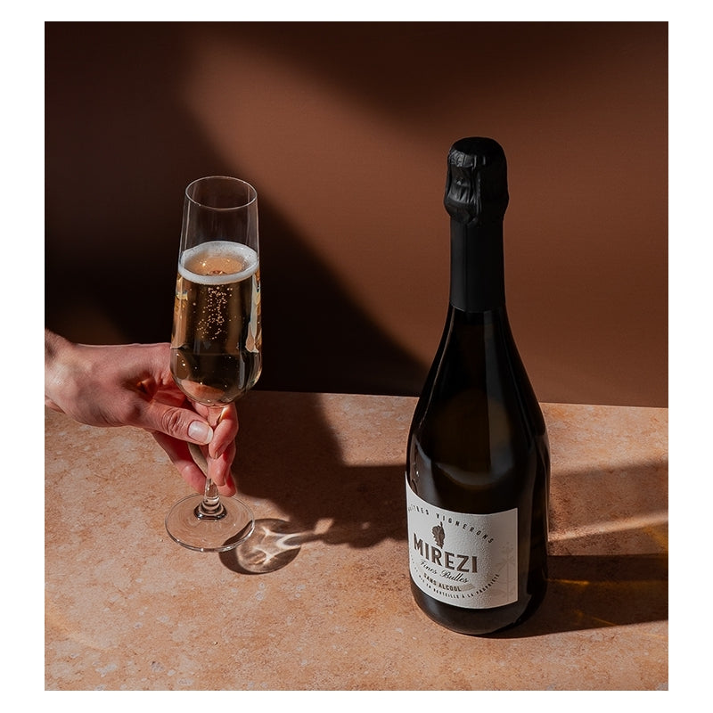 Meet the Creators of MIREZI (France)