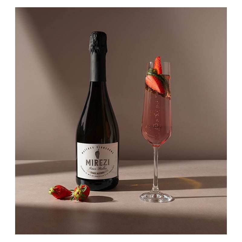 Meet the Creators of MIREZI (France)