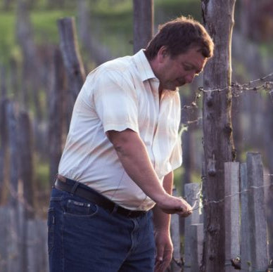 Meet the Creator of MOKOS (Hungary)